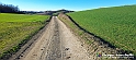 20230110_150931 - Dalla terra... il grano